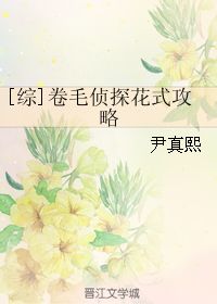 卷毛侦探花式攻略