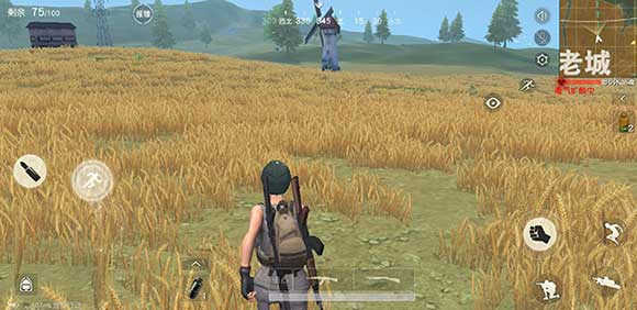 pubg手游国际服v3.1.0